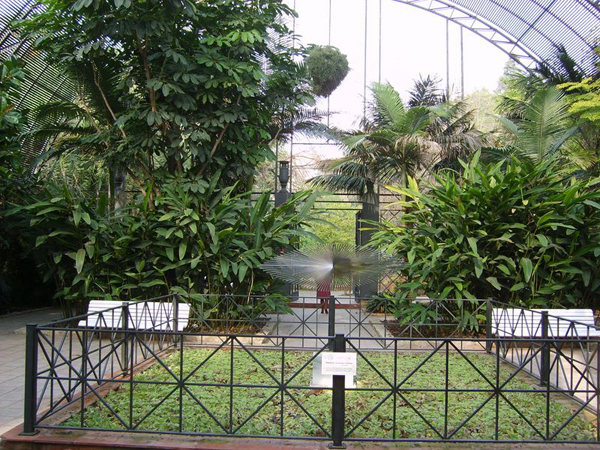 Jardín Botánico de Valencia. Foto: G.B.