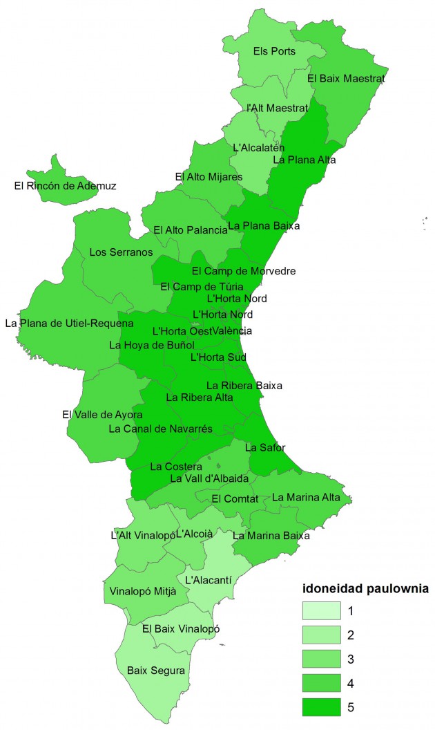 - Mapa de idoneidad de la paulownia en la Comunidad Valenciana (1: menor idoneidad; 5: mayor idoneidad.