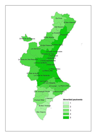 Comunidad Valenciana Pawlonia