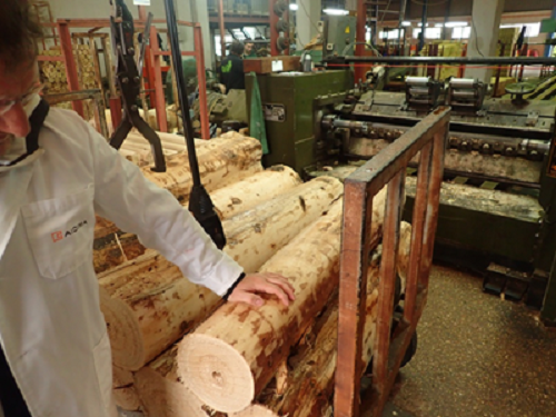  Troncos de paulownia y máquina para su desenrollo