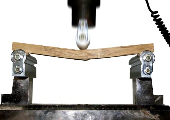 Ensayo de flexión estática de una probeta de madera de robinia