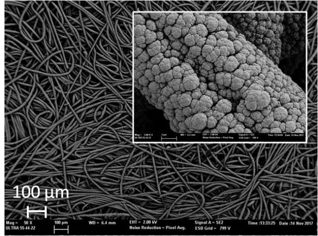 Micrografías de un cátodo recubierto con nanopartículas de Pt.